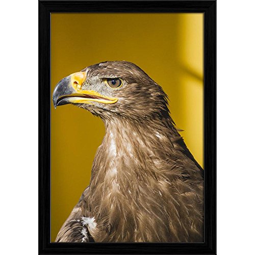 ArtzFolio Golden Eagle Canvas Painting Black Wood Frame 16 X 23Inch