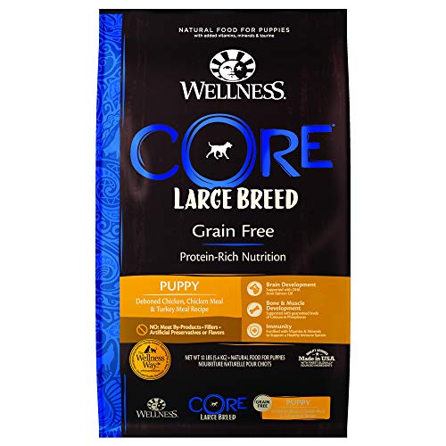 25 Food Related Apis Like Recipe Food Nutrition Rakuten Rapidapi