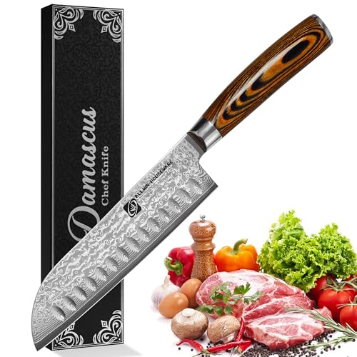 Japanese Santoku Knife 7" Damascus VG10 Stainless Steel 67-Layer Forged Razor Sharp Asian Chef's Knife Pakkawood Handle Precision Slicing Dicing Chopping Meat Fish Vegetables Gift Box