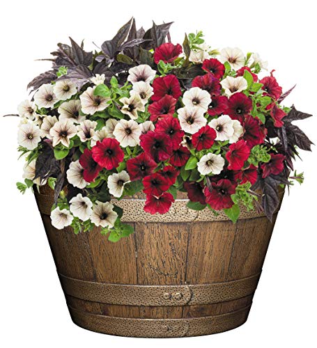 Classic Home and Garden S1027D-265R Whiskey Barrel, 20.5