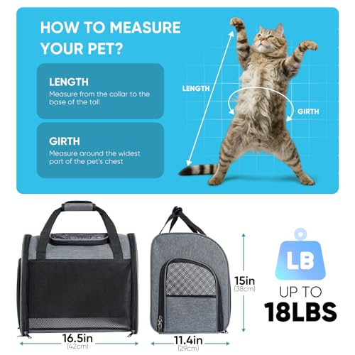 MAIYADUO Katzenrucksack mit Netzfenster - Faltbarer Haustierträger für Katzen & Kleine Hunde (4-8 kg) mit Reißverschluss-Sicherheitsverschluss, Sicherheitsleine, Ideal für Reisen & Spaziergänge