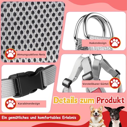 3 Stück Hundegeschirr und Leine Set, Verstellbares Brustgeschirr, Reflektierendes atmungsaktives Hundegeschirr mit D-Ring, Hundegeschirrs Set für Welpen, Kleine Hunde