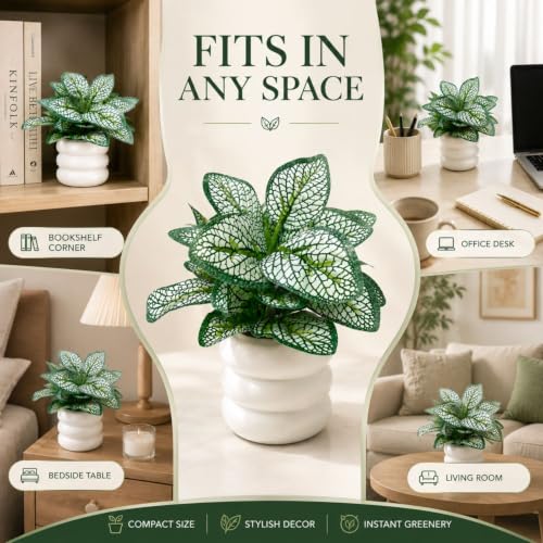Image of Artificial Fittonia Nerve Plant in White Ceramic Pot, Realistic Faux Potted Desk Plant, Low Maintenance Small Fake Tabletop Greenery for Office, Living Room & Home Decor