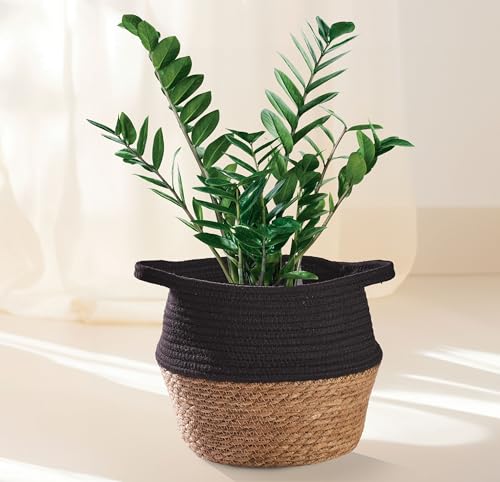 Praknu Decorative Flower Pot Planter – Seagrass Braided with Cotton Diameter 23 cm – Plant Basket Boho Black