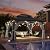 Aoxun 12' X 14' Hardtop Gazebo with Drainage System, Aluminum Outdoor Gazebo with Galvanized Steel Double Roof, Patio Permanent Metal Pavilion with Curtain and Netting, for Backyard, Deck, Grey