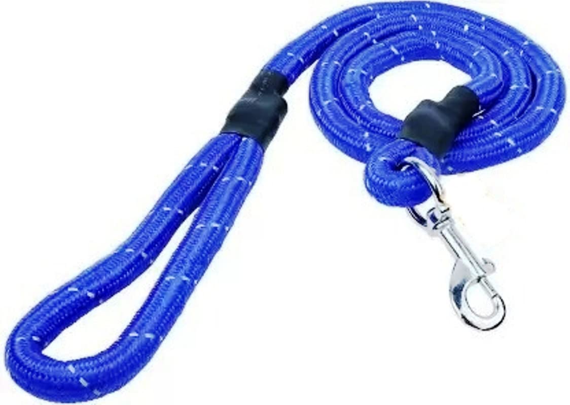 Fun Affairs Nylon Dog Leash for Large/Medium Size Dogs with Strong Hook | Size-22mm Length 150 CM (Color May Vary) (B09N1R89J6) Amazon Price History, Amazon Price Tracker