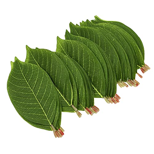 Partykindom 50Pcs Fake Magnolia Leaves Artificial Plant Leaves Simulated Green Plant Leaves For Home/Wall/Room Decor #TOP3