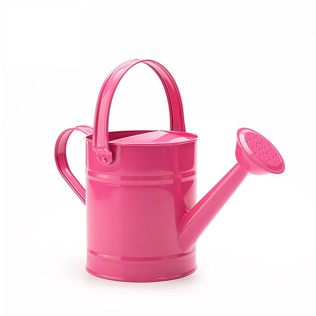 Esta regadera de jardín, Ligera, de Chapa de Hierro y Acero, con asa Superior con Anillo WO y Detalles de Cobre, está Disponible en Rosa, Verde y Azul, Ideal para Plantas de Exterior.