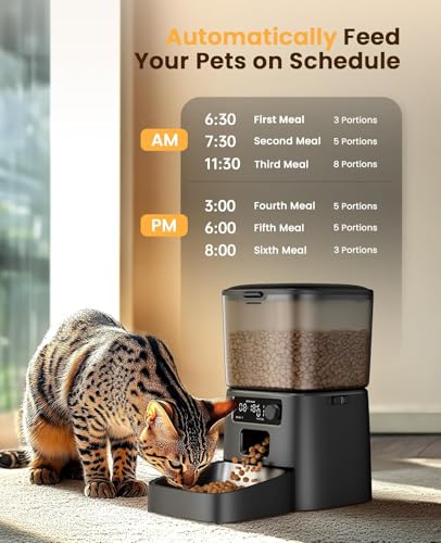 oneisall Automatic Cat Feeder with Stainless Steel Bowl, 3.5L Cat Feeder with Timer ,Pet Food Dispenser for 1-6 Meals a Day, Dry Food Auto Feeders for Cats Dogs - Image 3