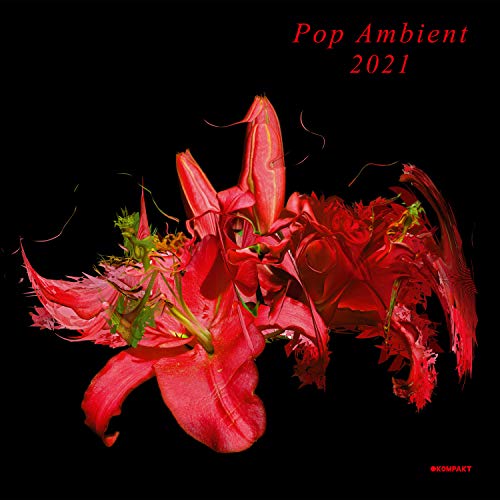 Pop Ambient 2021 [Vinilo]