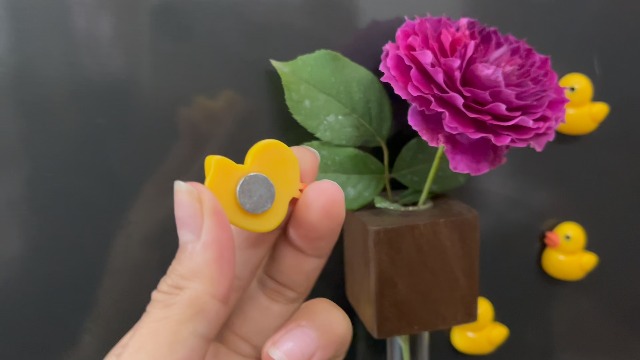 10 imanes de pato decorativos para refrigerador miniatura 7