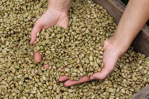 GUGGENHEIMER COFFEE | Kaffeebohnen Probierpaket 1 kg | Supreme 500g & Gourmet Arabica 500g | wenig Säure | Feinste Crema | Bester Espresso für Vollautomaten | Kaffee Probierset