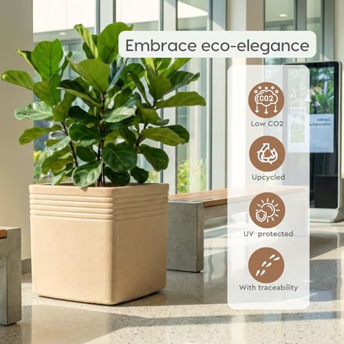 Image of Eha Earth Friendly Portico Big Planters for Home Decor | 15 inch, Pack of 1 | Heavy Duty Plant Pot Made with Rice Husk & Bamboo Biocomposite | UV Protected Pot for Plant | Pots & Planters Big Size