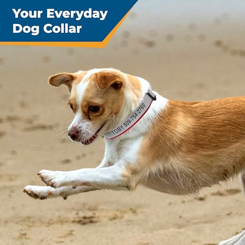 Image of GoTags Reflective Personalized Dog Collar, Custom Engraved with Pet Name and Phone Number, Adjustable Dog Collar with Quick Release Buckle, 3 Sizes for Puppy and Dogs, Small, Medium and Large