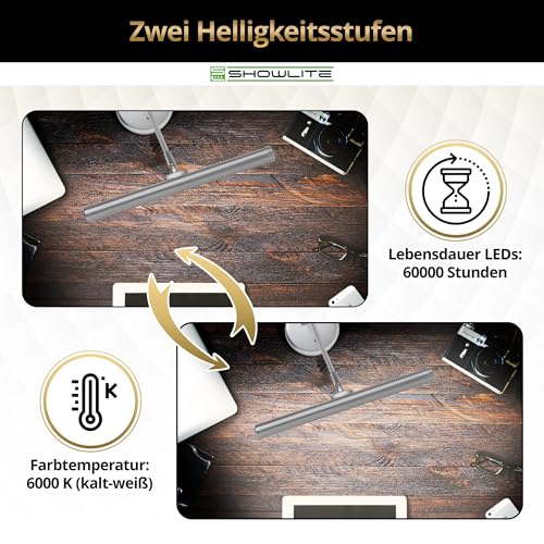 Showlite PL-1-SL-KW LED Klavierleuchte - Klavierlampe mit 15 LEDs - kaltweißes Licht in 2 Stufen - 36 cm Höhe - Betrieb per USB, Netzstrom oder Batterie - silber matt