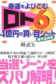 記入済ロト6申込カード358枚 幸運をよびこむ「ロト6」4億円の買い目シート―書き込み式 | 武矢