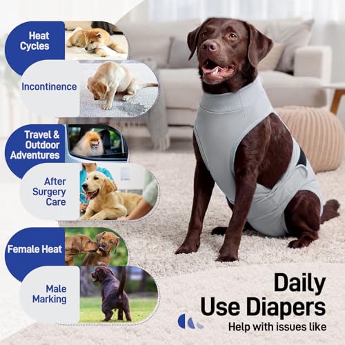 Image of BRKURLEG Female Dog Diapers with Suspender, Washable & Reusable, Grey M