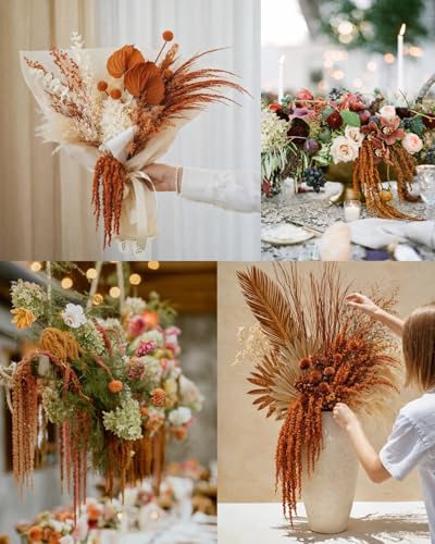5 piezas de flores secas colgantes Amaranthus marrón miniatura 6