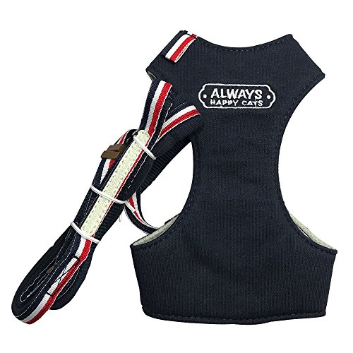 Lp  킢 X[p[n[lXiցj[h̃Zbg VvgRylCr[zy2TCYzi9818jZ[teB[bNt RۖhLHngp Ռŋz ւ̕Sy GAbVŒʋCENbVɗDĂ܂ ybgp