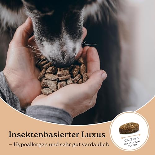 Globe Buddy Luxx Rewards 150g – Hypoallergene Getreidefreie Hundesnacks mit Insektenprotein, Unterstützt Mobilität & Immunsystem, Super Premium Trainingsleckerlis für Alle Hunde