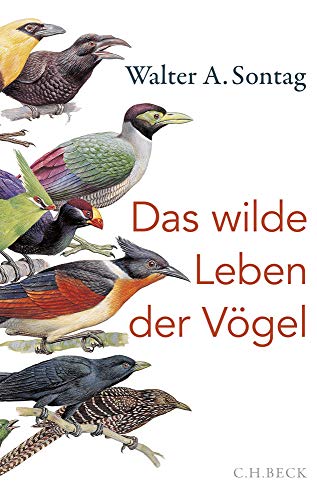 Télécharger Das wilde Leben der Vögel: Von Nachtschwärmern, Kuckuckskindern und leidenschaftlichen Sängern PDF Ebook En Ligne