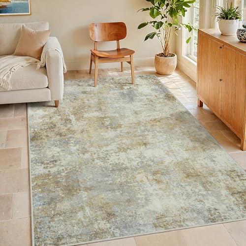 Area Rug Living Room Rugs: 3x5 Indoor Soft Fluffy Rug Abstract Carpet for Bedroom Kitchen Dining Room Floor Washable Plush Throw Small Accent Rug Home...