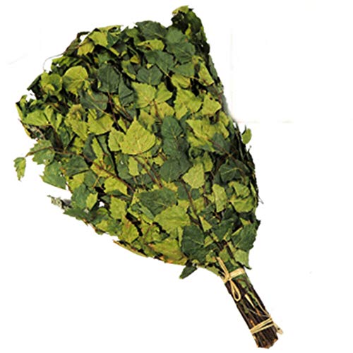 Rami di betulla con menta per sauna circa 55 - 60