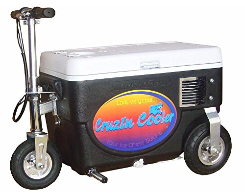 30 Qt. 1000W Scooter Electric Cooler Color: Black - //coolthings.us