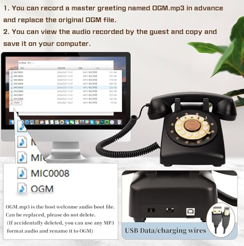 Image of Audio Guest Book Wedding Phone,32GB Memory Customized Audio Messages, Volume Adjustable, with Message Replay Feature, Suitable for All Kinds of Party(Black+Golden Sign)