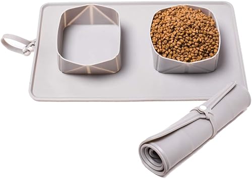 Tazón doble portátil para mascotas con funda de transporte, plegable antidesbordamiento de silicona para alimentos y gatos o perros, perfecto para