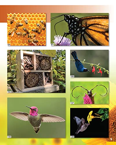 World of Pollinators: A Guide for Explorers of All Ages: Fun Projects, Over 600 Amazing Facts About Plants, Bees, Beetles, Birds, and Butterflies (Creative Homeowner) Outdoor Activities for Kids 8-12 - Image 3