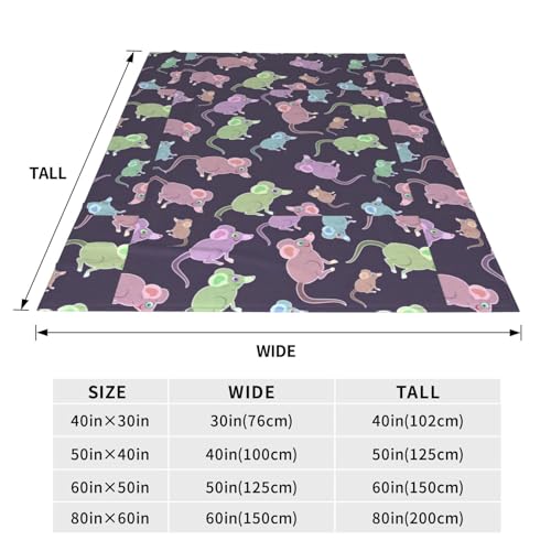 Couverture douce en flanelle au salon pour des soirées cocooning confortables