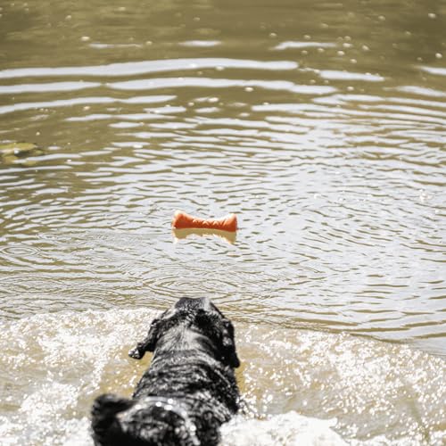 Sprenger Hundespielzeug Apportierhantel - Spaß und Training für alle Hunderassen, orange - 18 x 7cm