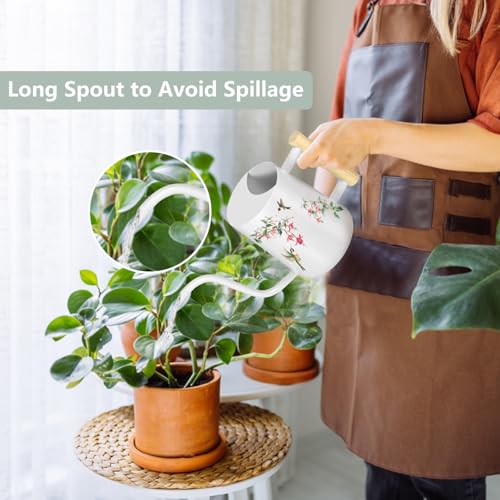 Image of Watering Can Indoor Plants, 35oz Small Stainless Steel Metal Watering Can Modern Decorative Watering Pot with Long Spout for Indoor House Plant Bonsai Garden Flowers (White 1)