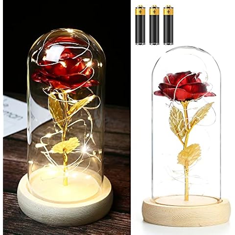 TINYOUTH Light Up Rose in Glass Dome, 24K Red Rose with 20 LEDs String Light, Batteries Included Beauty and The Beast Rose Gifts for Women/Her/Mum Wedding Anniversary Valentines Birthday Xmas Cover