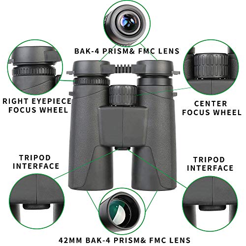 ToyerBee Binoculars, 12X42 HD Roof Prism Folding Binoculars for Adults&Kids, Waterproof Binocular Weak Light Night Vision for Bird Watching Concert Traveling and Sightseeing with Smartphone Adapter