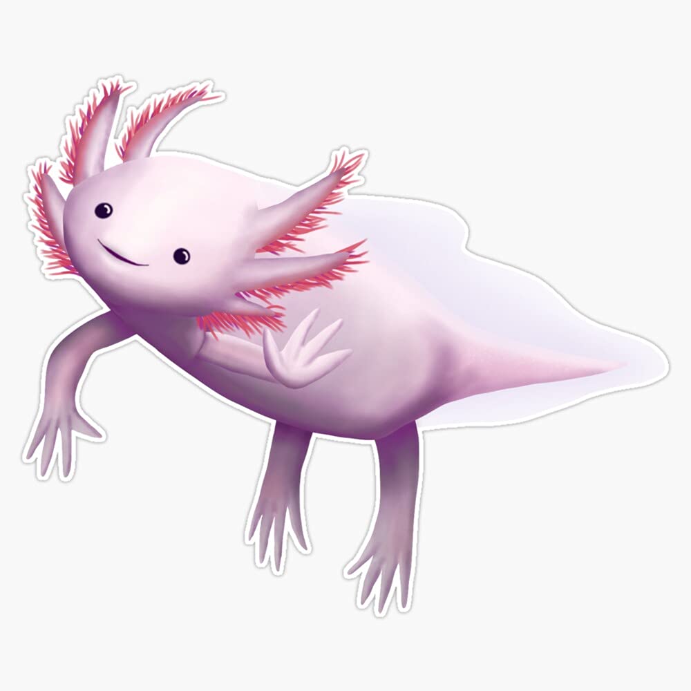 Generic Axolotl Cute Kawaii Vinyl Sticker Laptop Decal Waterproof 5 Inches, (BJC-KAWAII-STICKERS-4346)