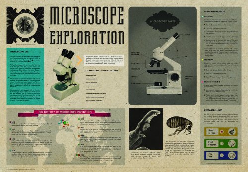 American Educational JPT-2111 Microscope Exploration Poster, 38" Length x 26" Width