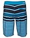Hurley Men's Phantom Wasteland Boardshort