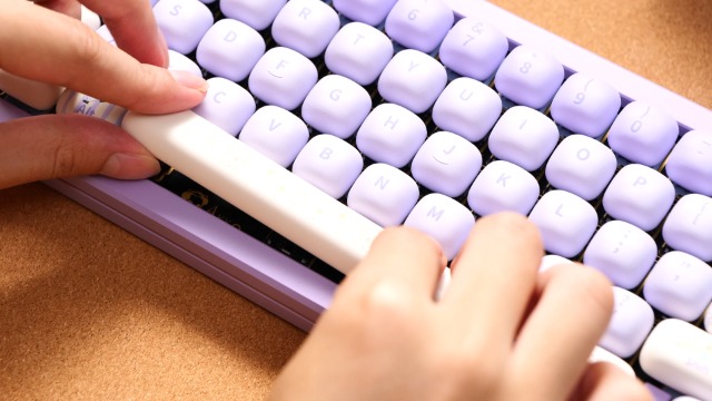 Amazon.com: Akko V3 Creamy Black Pro Keyboard Switch with