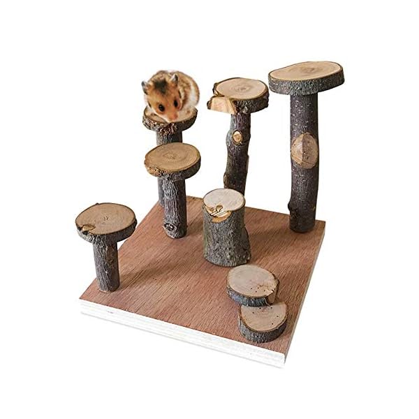 Hamster climbing wooden stand platform, pet cage playground natural wood bridge ramp toys for dwarf hamsters, syrians hamster, gerbil, mouse, rat