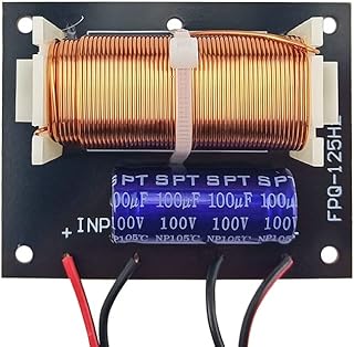 JINGERL 300W Subwoofer Crossover with Cable 125Hz Woofer Subwoofer Dedicated Frequency Divider for 5-12 inch Woofer Speaker 2pcs