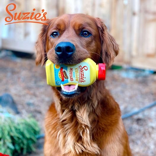 Miniatura 5 de Suzie's Mostaza Dijon orgánica 12oz (individual, 12, Fl Oz)