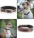 Jack & Russell Leder Hundehalsband, Hand-gefertigt & gepolstert – Halsband mittelgroße Hunde aus Büffelleder, Lederhalsband dunkel-braun Talia (L (40,0-49,5cm)