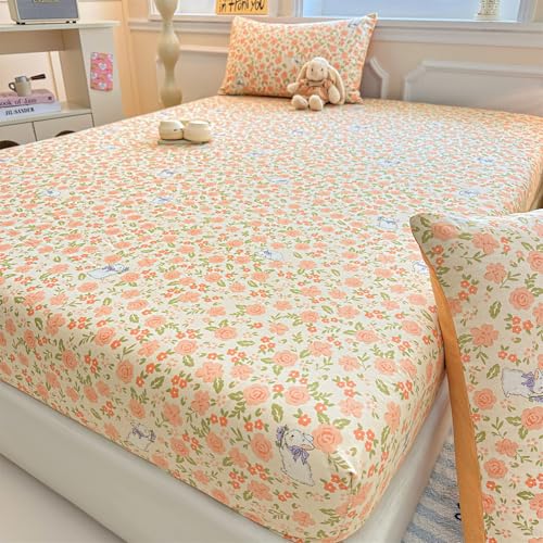 Yashe Haowu {bNXV[c pbȟ^{bNXV[c LO 3_Zbg ԕvg N ~p ӂg G₳ SSt Yɂ RۖhL @OK xbhJo[