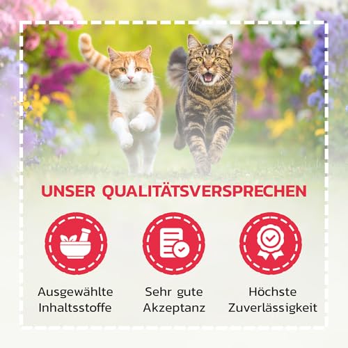 Liquidocare Appetitanreger Katze 180 ml – Hochkalorisches Tonikum mit Vitaminen & Taurin – Für schlecht fressende Katzen, leicht verdaulich & schmackhaft – Ergänzungsfuttermittel