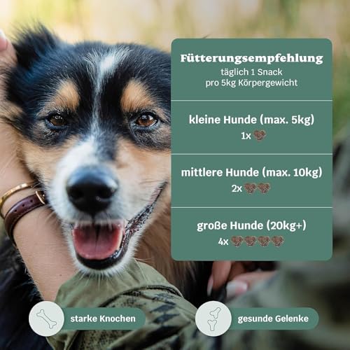 11-in-1 Grünlippmuschel Hund Gelenktabletten - Happy Hips 220 Leckerli (650g) von mammaly - Gelenk- & Knochenschutz für Hunde - Praktische Alternative zu Kapseln & Grünlippmuschelpulver für Senior