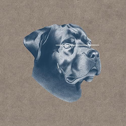 Why do you always by Vantablack on Amazon Music Unlimited