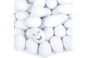 SallyFashion White Plastic Eggs