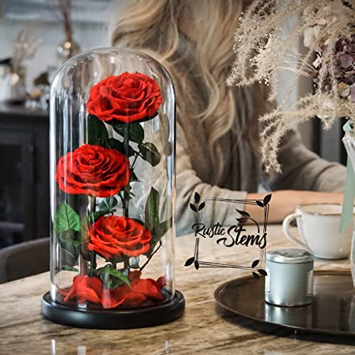 Luxury-Preserved-Real-Rose-Glass-Dome-Eternal-Flower-Forever-Beauty-Beast-Love-Gift-for-Mom-Women-Wife-Girlfriend-Valentines-Wedding-Birthday-Anniversary-Christmas-Decor Luxury Preserved Real Rose Glass Dome Eternal Flower Forever Beauty Beast Love Gift for Mom Women Wife Girlfriend Valentines Wedding Birthday Anniversary Christmas Decor